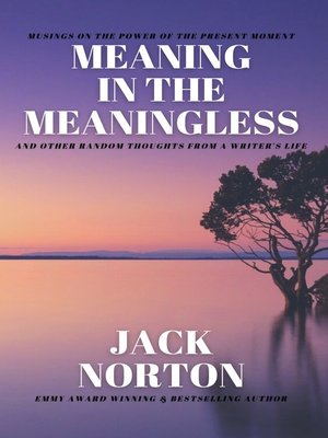 cover image of Meaning In the Meaningless